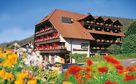 Hotel Schwarzwaldhof Enzklösterle